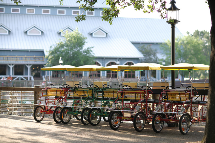 Surrey Bike Rental