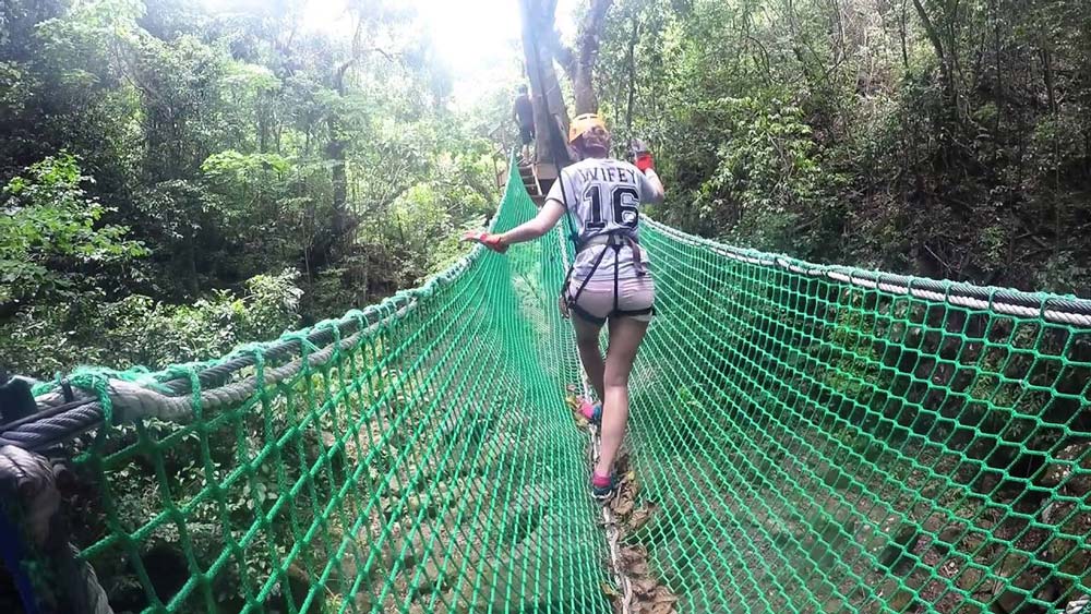 Antigua Rainforest Canopy