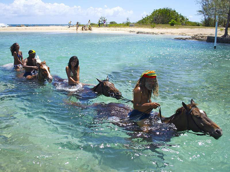 Horseback Riding